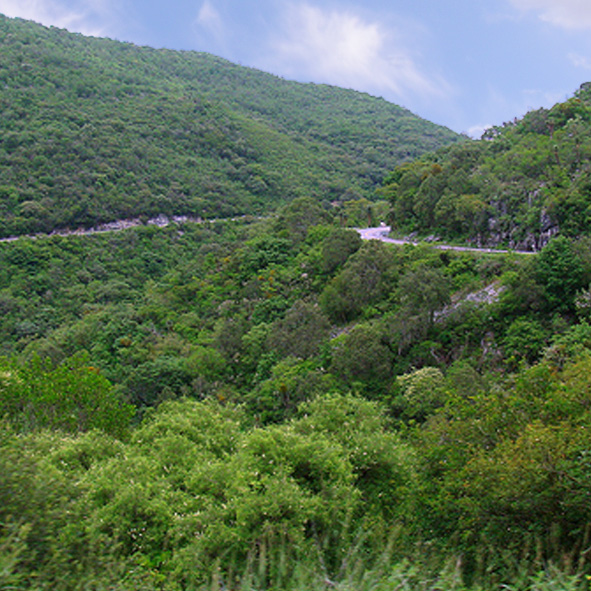 Parque Nacional El Potosi